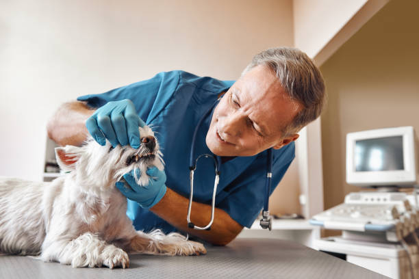 Best Pediatric Emergency Dentist in Port Orange, FL